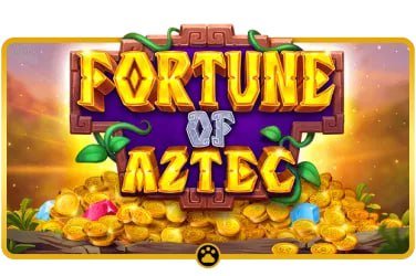 jacktoto